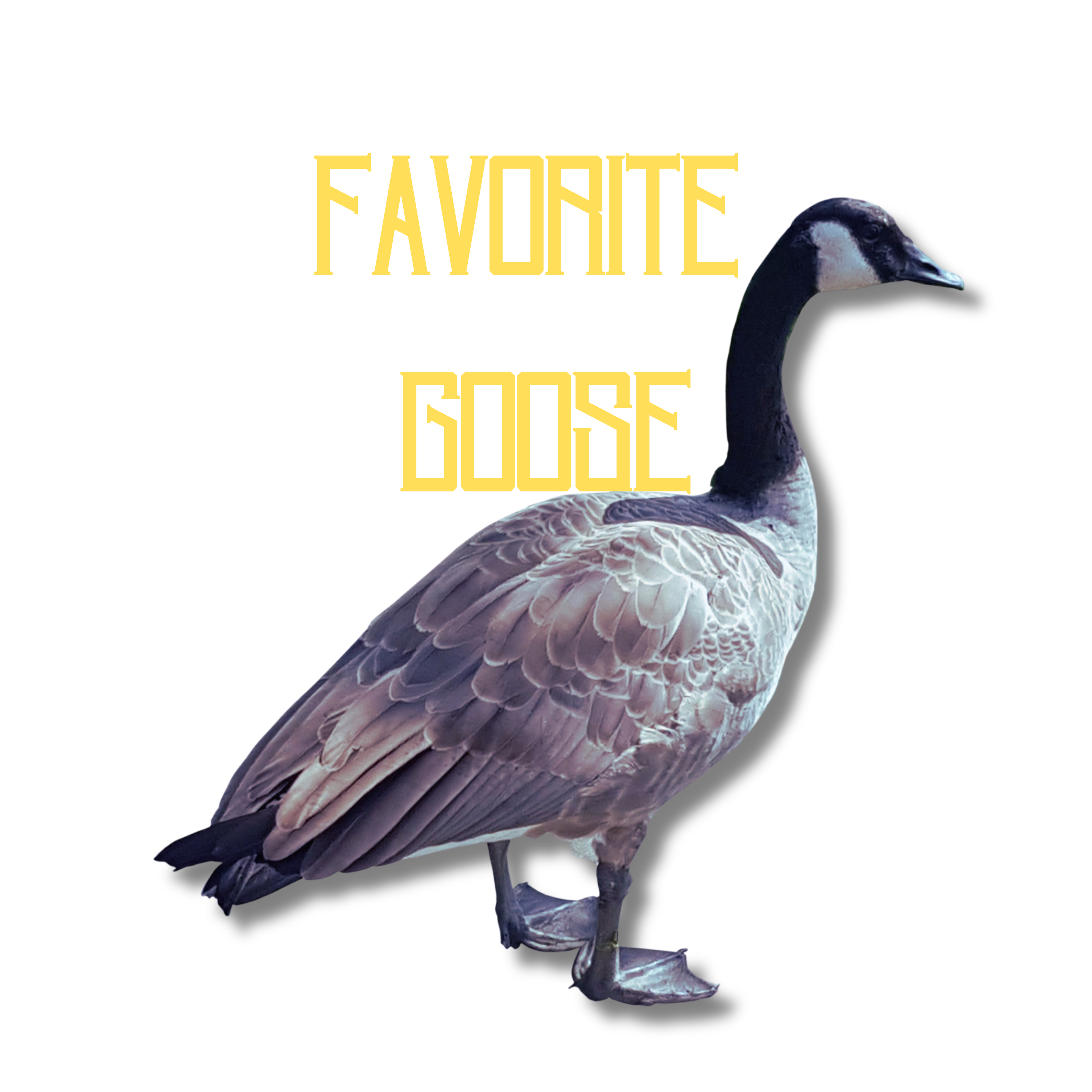 Favorite Goose